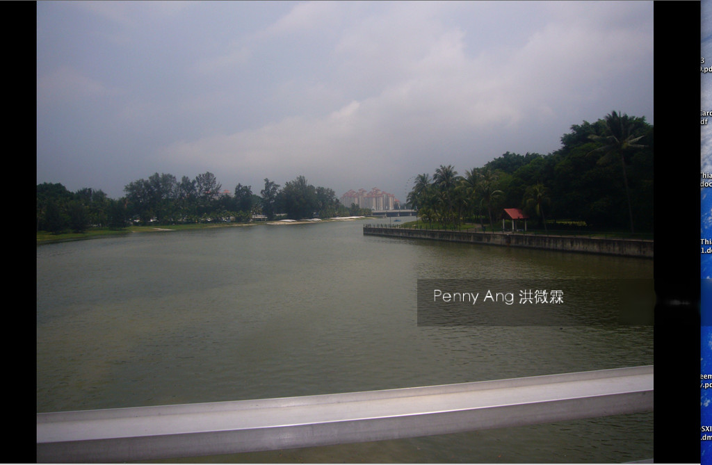 The Riverine By The Park (D12), Apartment #142712762